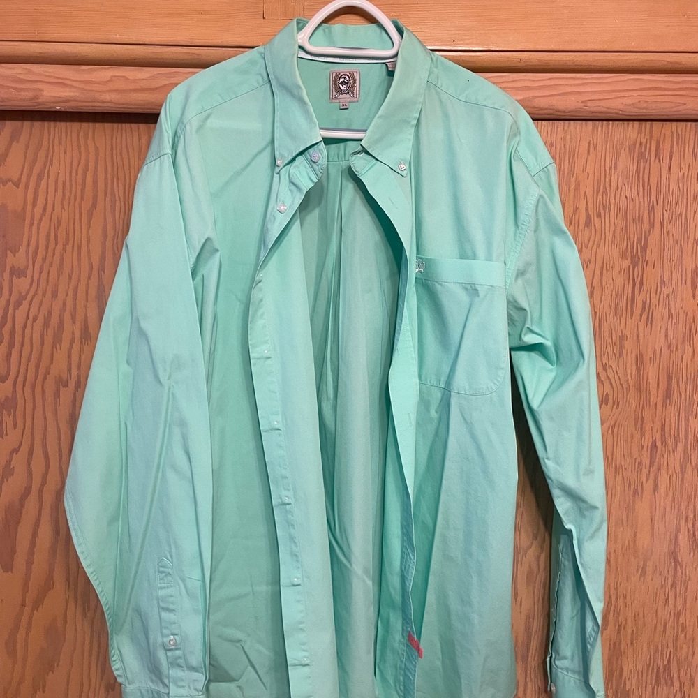 Cinch Button Up - image 1